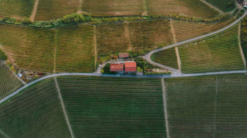 Vu d'en haut : les ailes qui filment le Tour entre vignes et étangs